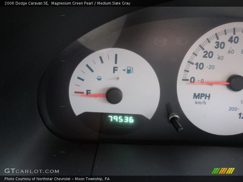 Magnesium Green Pearl / Medium Slate Gray 2006 Dodge Caravan SE