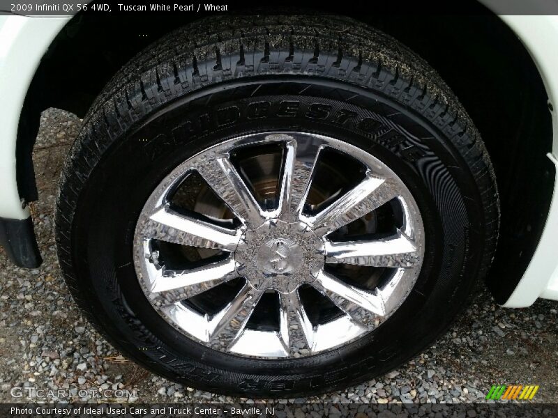 Tuscan White Pearl / Wheat 2009 Infiniti QX 56 4WD