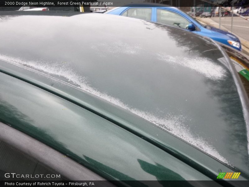 Forest Green Pearlcoat / Agate 2000 Dodge Neon Highline