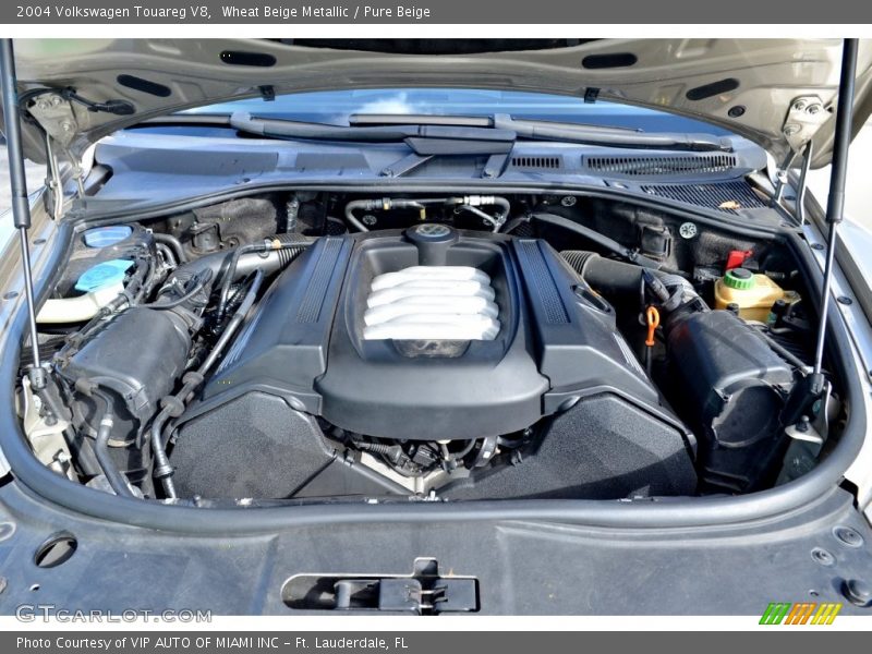 Wheat Beige Metallic / Pure Beige 2004 Volkswagen Touareg V8