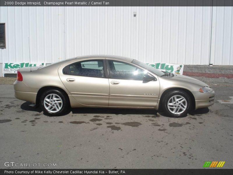 Champagne Pearl Metallic / Camel Tan 2000 Dodge Intrepid