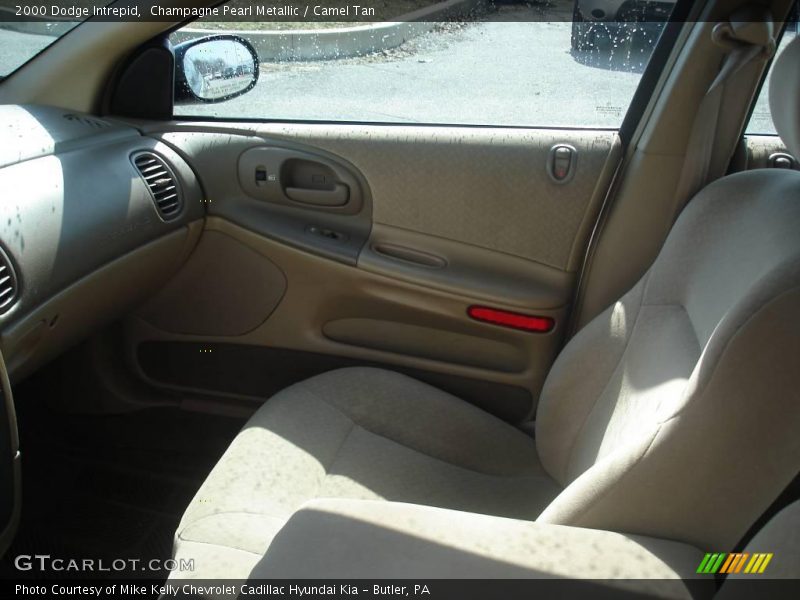 Champagne Pearl Metallic / Camel Tan 2000 Dodge Intrepid