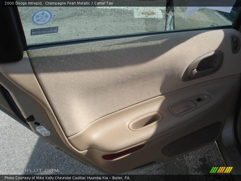 Champagne Pearl Metallic / Camel Tan 2000 Dodge Intrepid