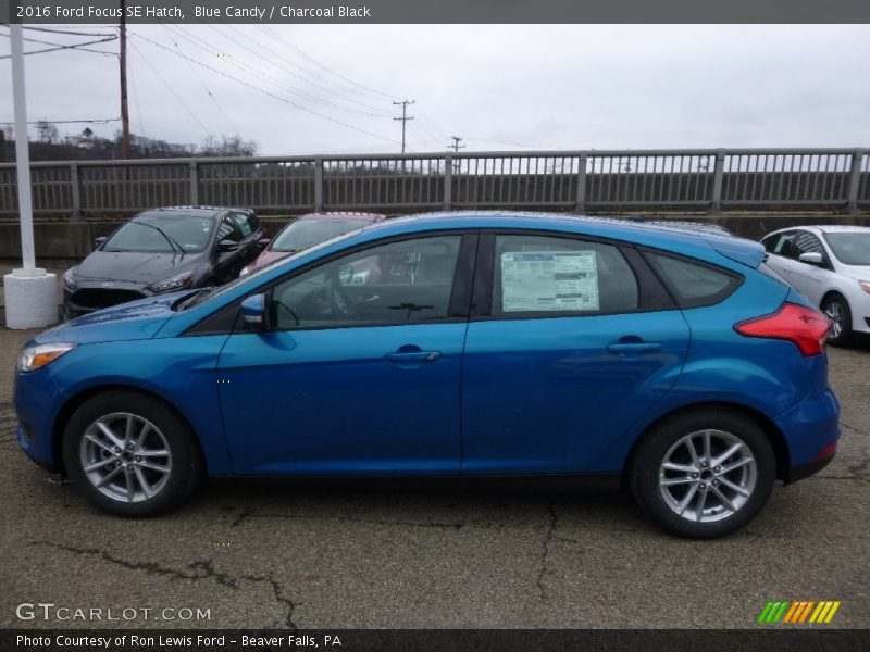 Blue Candy / Charcoal Black 2016 Ford Focus SE Hatch