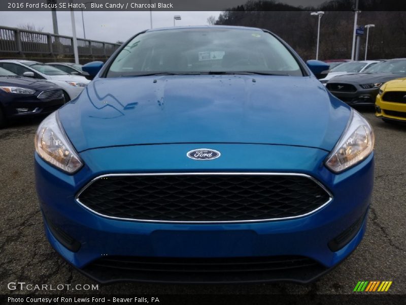Blue Candy / Charcoal Black 2016 Ford Focus SE Hatch