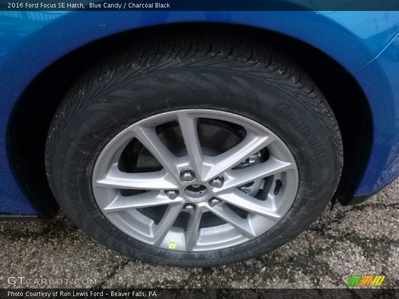 Blue Candy / Charcoal Black 2016 Ford Focus SE Hatch