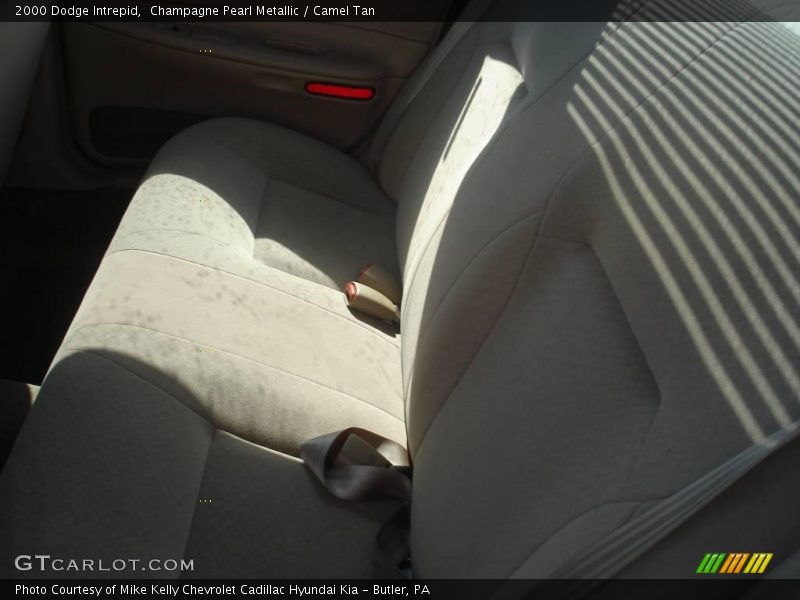 Champagne Pearl Metallic / Camel Tan 2000 Dodge Intrepid