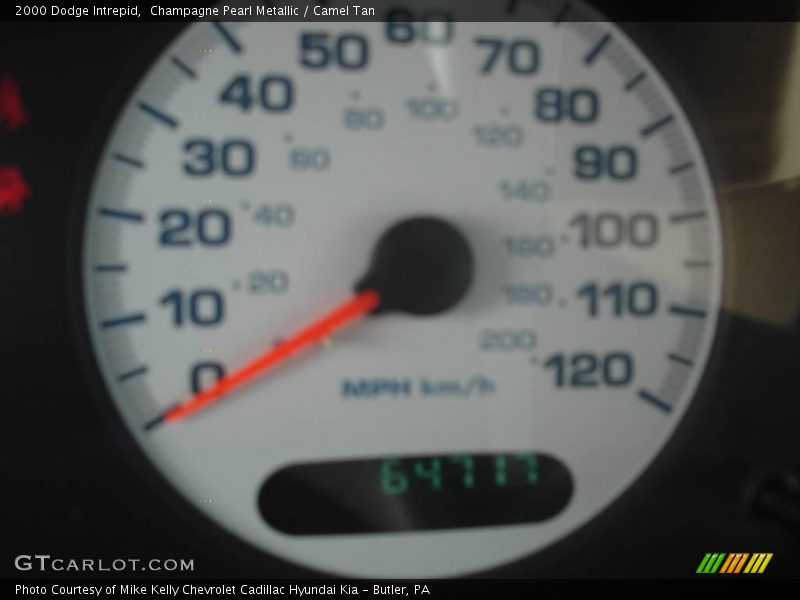 Champagne Pearl Metallic / Camel Tan 2000 Dodge Intrepid