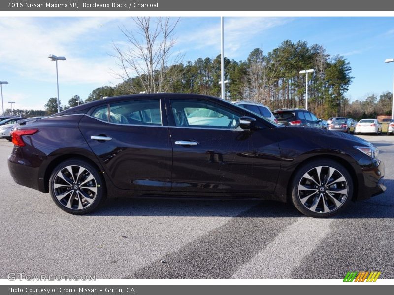  2016 Maxima SR Bordeaux Black
