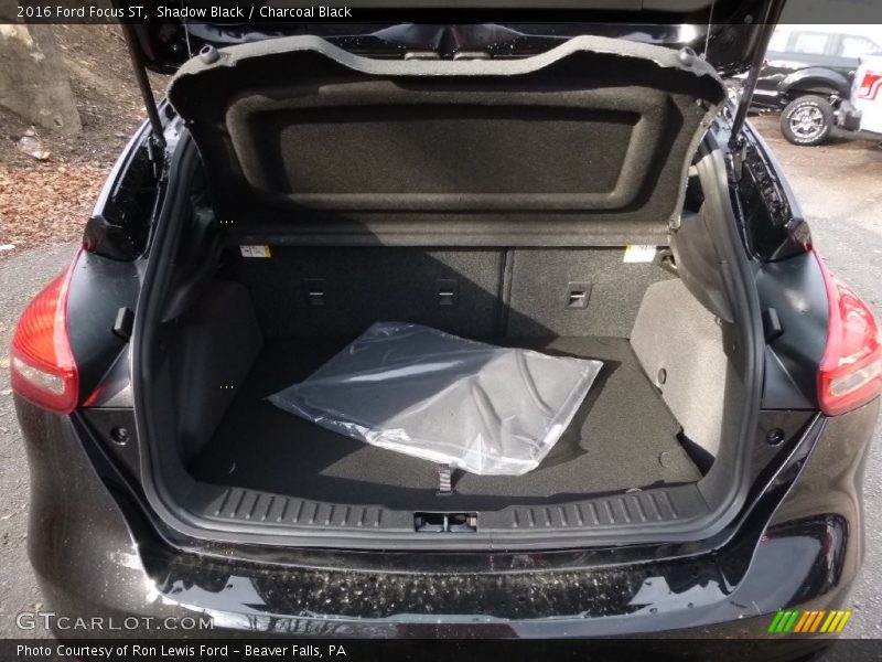  2016 Focus ST Trunk