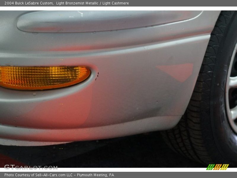 Light Bronzemist Metallic / Light Cashmere 2004 Buick LeSabre Custom