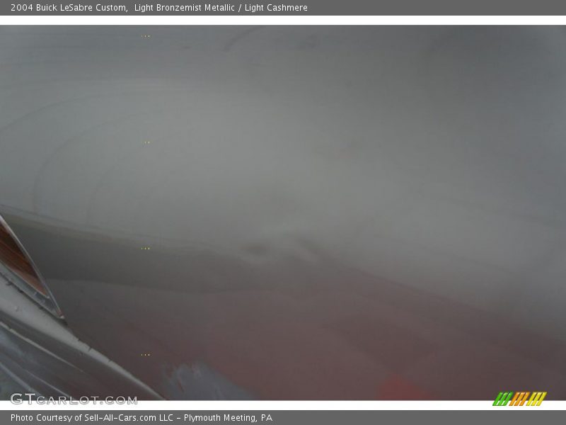 Light Bronzemist Metallic / Light Cashmere 2004 Buick LeSabre Custom