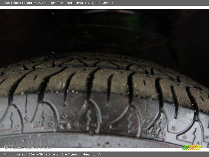 Light Bronzemist Metallic / Light Cashmere 2004 Buick LeSabre Custom