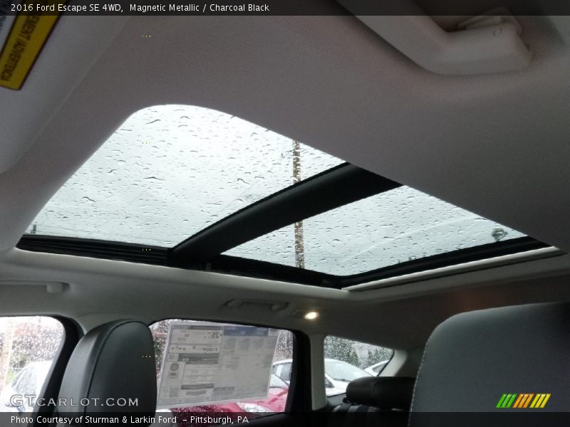 Magnetic Metallic / Charcoal Black 2016 Ford Escape SE 4WD