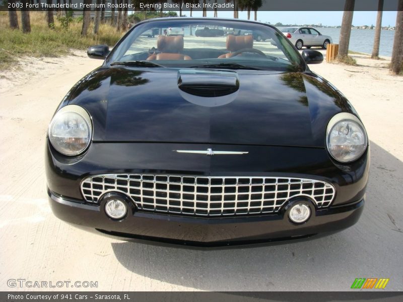 Evening Black / Black Ink/Saddle 2003 Ford Thunderbird Premium Roadster