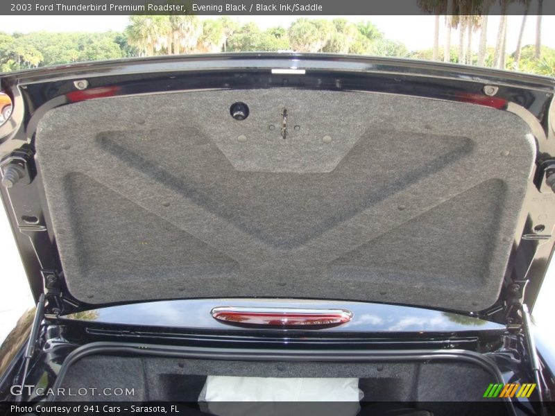 Evening Black / Black Ink/Saddle 2003 Ford Thunderbird Premium Roadster