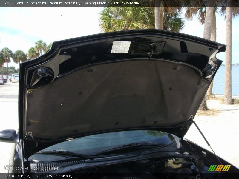 Evening Black / Black Ink/Saddle 2003 Ford Thunderbird Premium Roadster