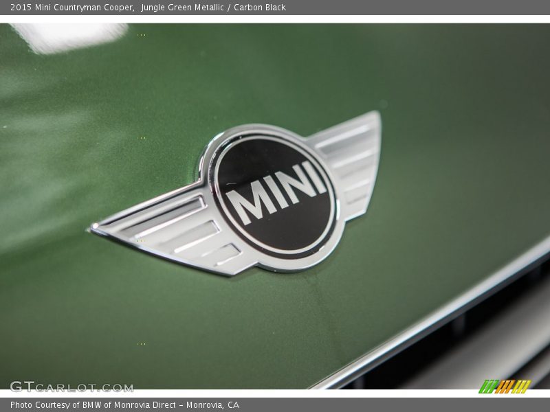 Jungle Green Metallic / Carbon Black 2015 Mini Countryman Cooper