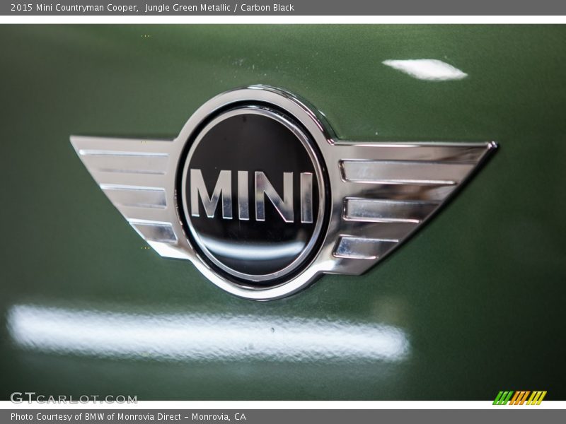 Jungle Green Metallic / Carbon Black 2015 Mini Countryman Cooper