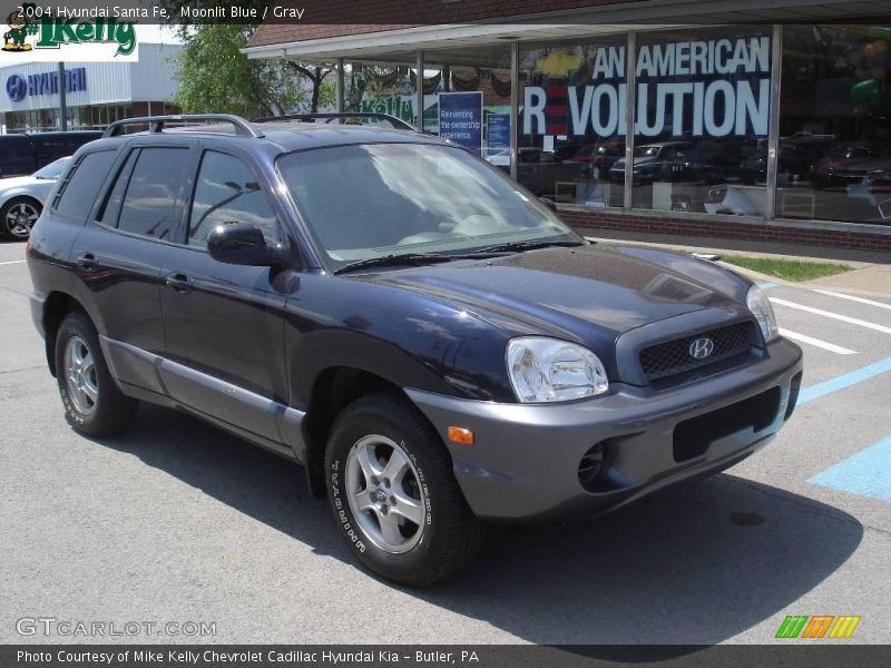 Moonlit Blue / Gray 2004 Hyundai Santa Fe