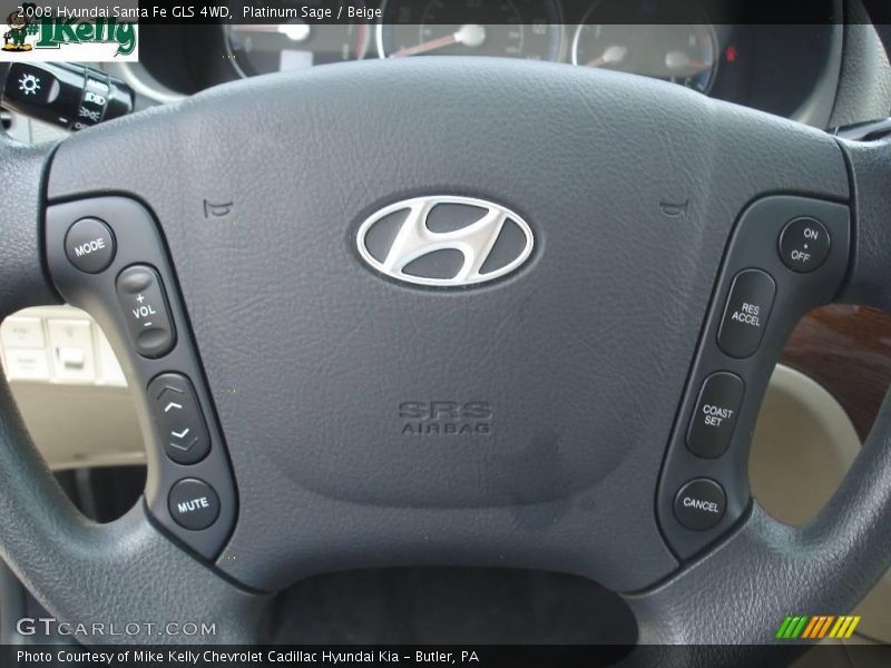 Platinum Sage / Beige 2008 Hyundai Santa Fe GLS 4WD