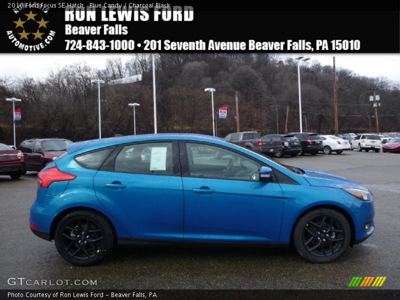 Blue Candy / Charcoal Black 2016 Ford Focus SE Hatch