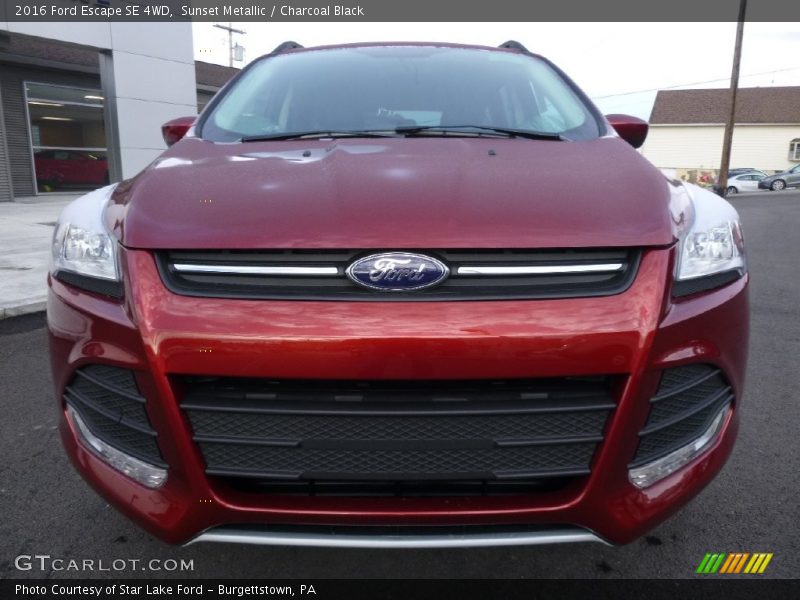 Sunset Metallic / Charcoal Black 2016 Ford Escape SE 4WD