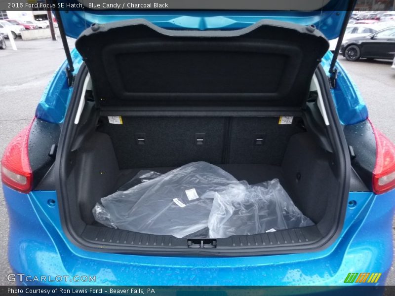 Blue Candy / Charcoal Black 2016 Ford Focus SE Hatch