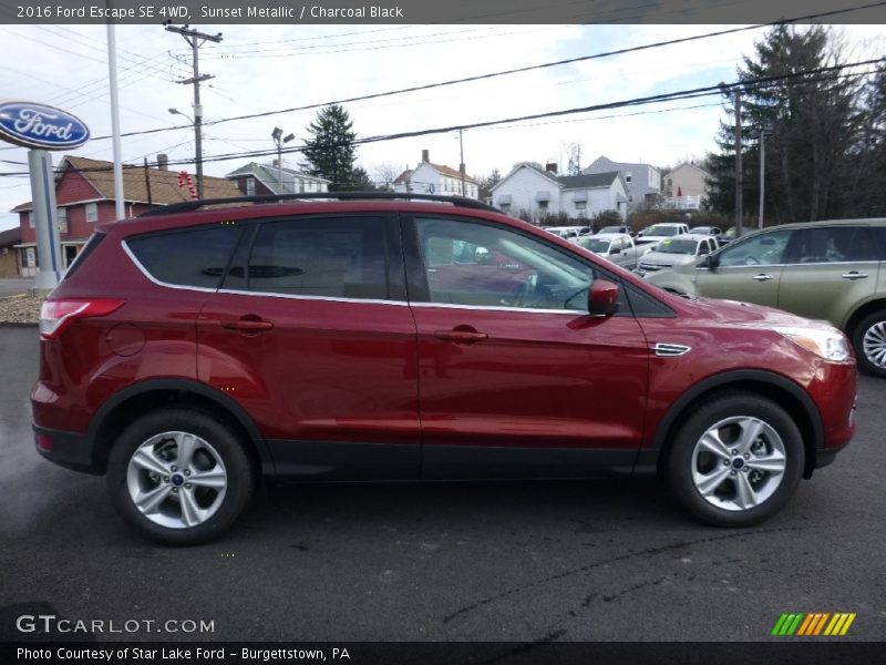 Sunset Metallic / Charcoal Black 2016 Ford Escape SE 4WD