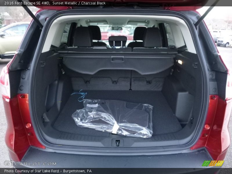 Sunset Metallic / Charcoal Black 2016 Ford Escape SE 4WD