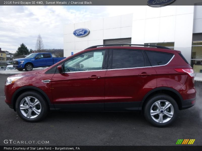 Sunset Metallic / Charcoal Black 2016 Ford Escape SE 4WD