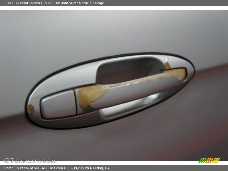 Brilliant Silver Metallic / Beige 2003 Hyundai Sonata GLS V6