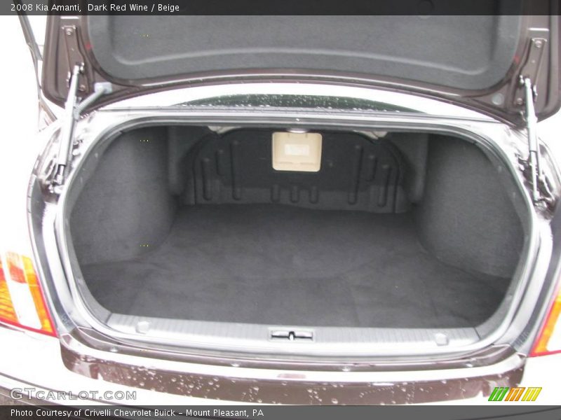 Dark Red Wine / Beige 2008 Kia Amanti