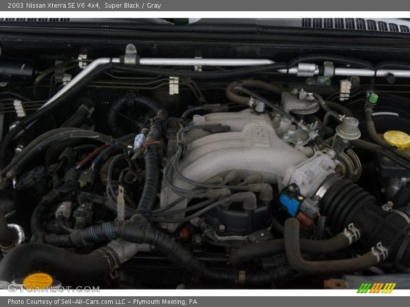 Super Black / Gray 2003 Nissan Xterra SE V6 4x4