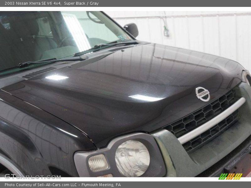 Super Black / Gray 2003 Nissan Xterra SE V6 4x4