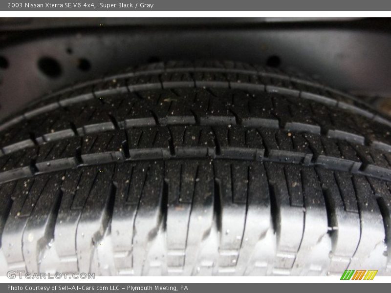 Super Black / Gray 2003 Nissan Xterra SE V6 4x4