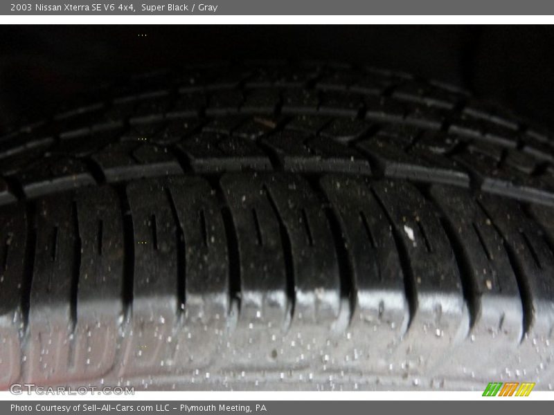 Super Black / Gray 2003 Nissan Xterra SE V6 4x4