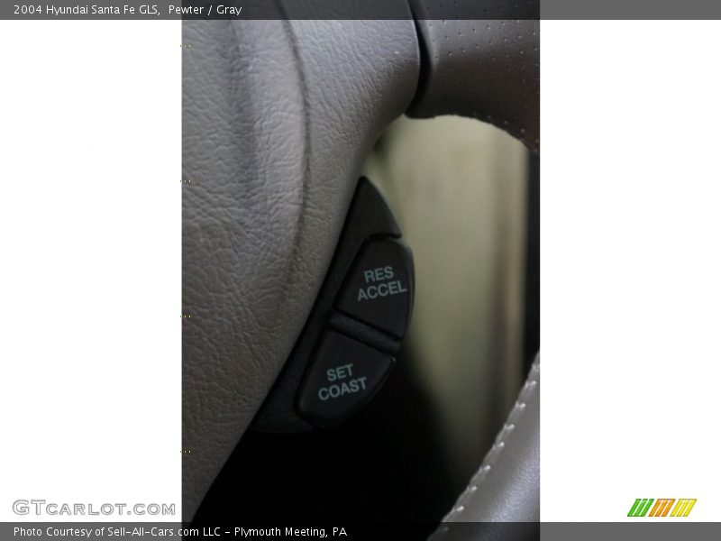 Pewter / Gray 2004 Hyundai Santa Fe GLS