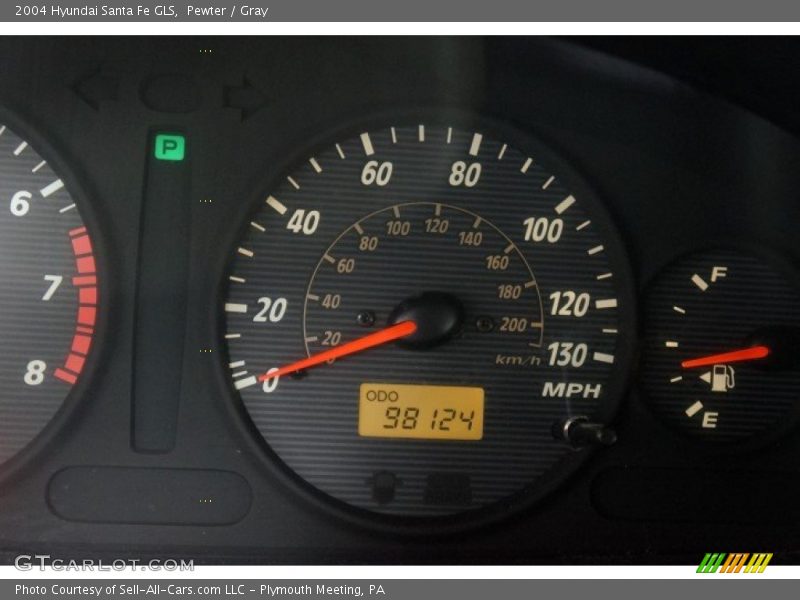 Pewter / Gray 2004 Hyundai Santa Fe GLS