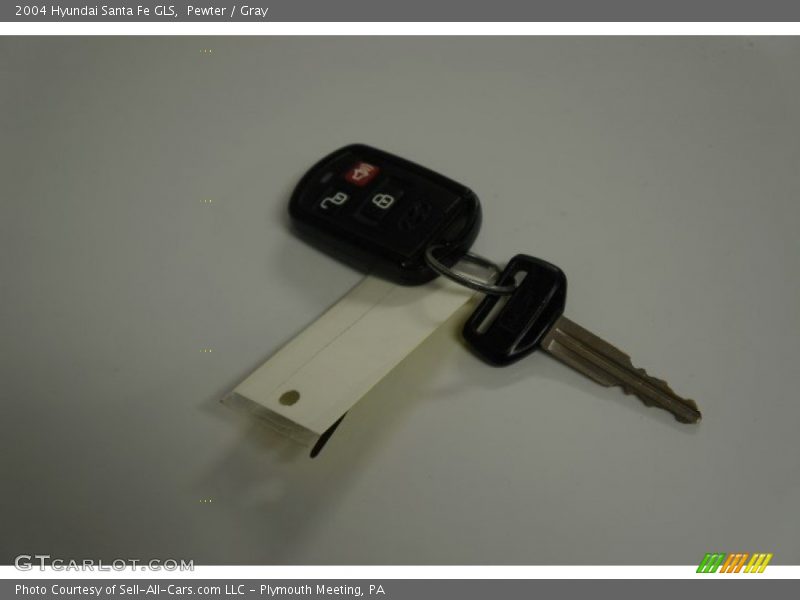 Pewter / Gray 2004 Hyundai Santa Fe GLS