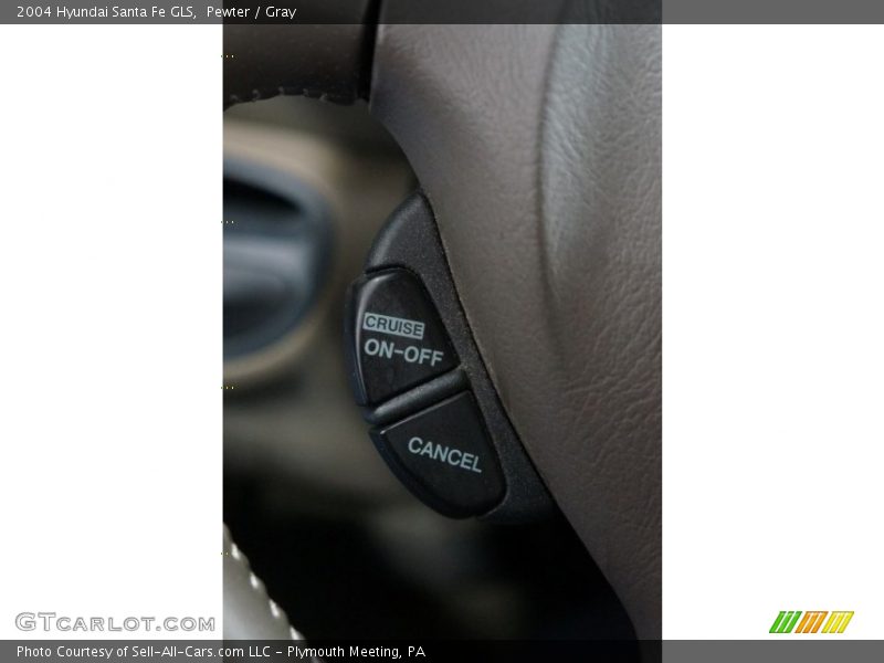 Pewter / Gray 2004 Hyundai Santa Fe GLS