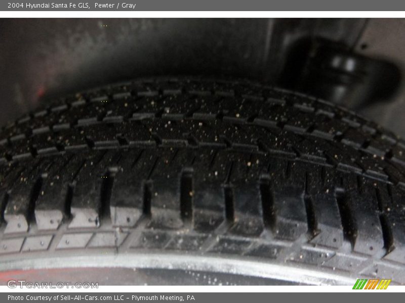 Pewter / Gray 2004 Hyundai Santa Fe GLS
