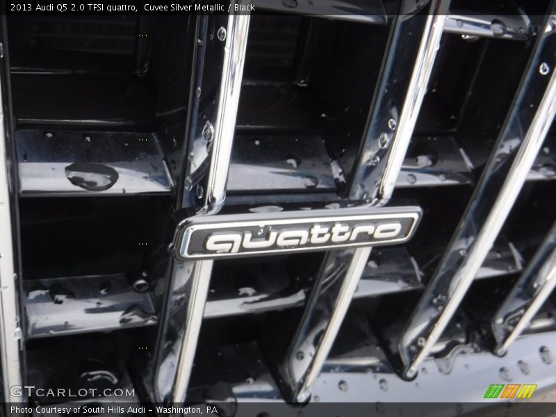 Cuvee Silver Metallic / Black 2013 Audi Q5 2.0 TFSI quattro