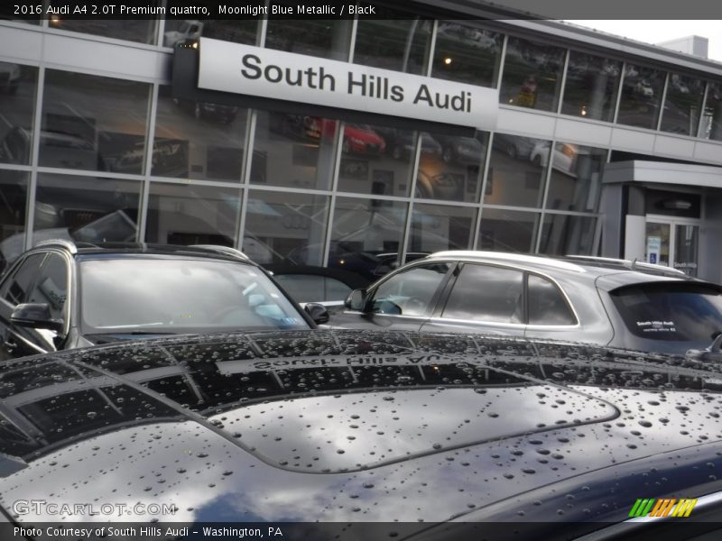 Moonlight Blue Metallic / Black 2016 Audi A4 2.0T Premium quattro