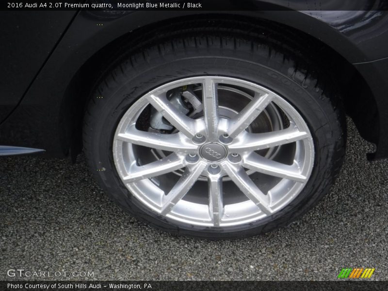 Moonlight Blue Metallic / Black 2016 Audi A4 2.0T Premium quattro