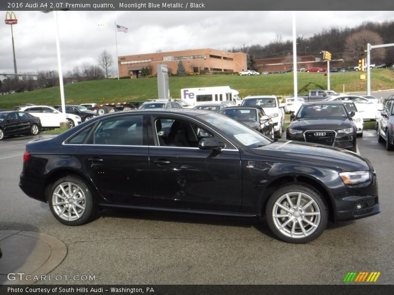 Moonlight Blue Metallic / Black 2016 Audi A4 2.0T Premium quattro