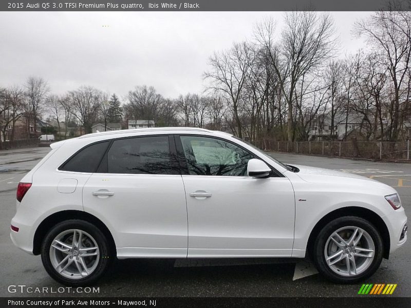 Ibis White / Black 2015 Audi Q5 3.0 TFSI Premium Plus quattro