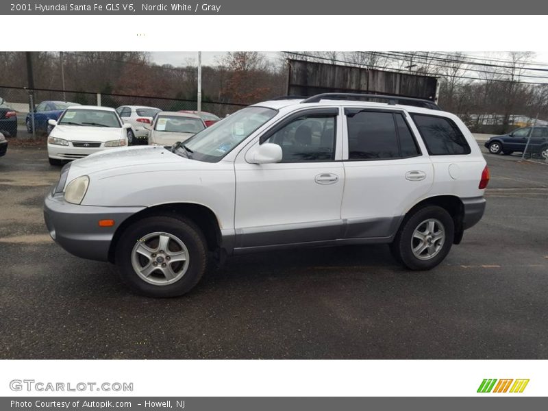 Nordic White / Gray 2001 Hyundai Santa Fe GLS V6
