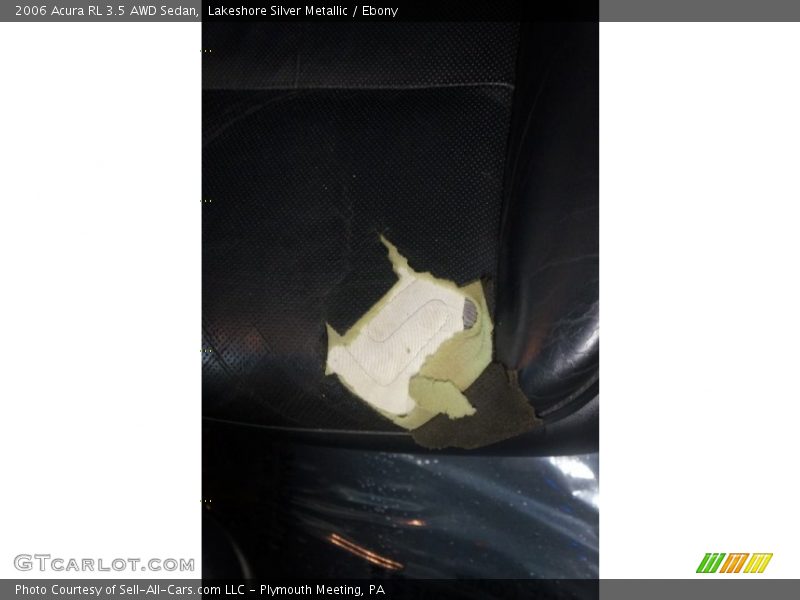 Lakeshore Silver Metallic / Ebony 2006 Acura RL 3.5 AWD Sedan