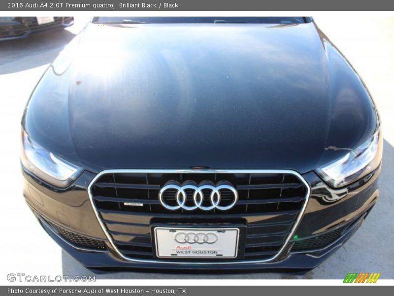 Brilliant Black / Black 2016 Audi A4 2.0T Premium quattro